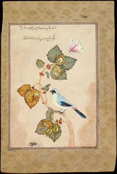 Ela Dalında Bir Kuş by Muhammad Shafi Abbasi