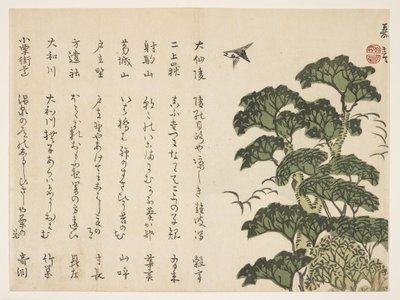 Büyük ağaç ve kuşlar, c.1830-44 (renkli tahta baskı) by Murata Kagen