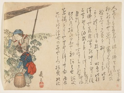 Çay Toplayıcılar, c.1830-44 (renkli tahta baskı) by Murata Kagen