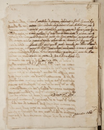 Urbino