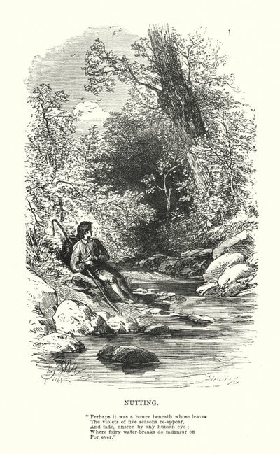 William Wordsworth: Nutting (gravür) by Myles Birket (after) Foster