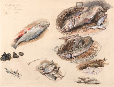 Balık Çalışması, Venedik by Myles Birket Foster