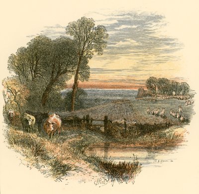 Pazar by Myles Birket Foster