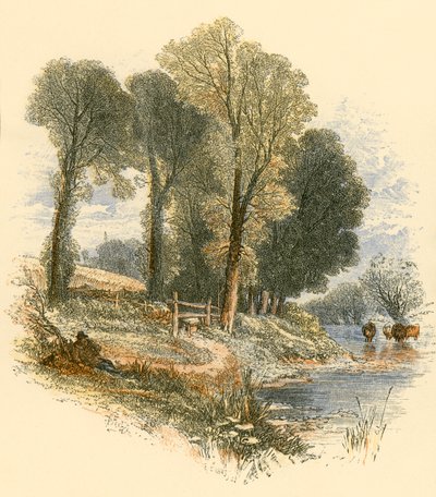 Pazar Yürüyüşleri by Myles Birket Foster
