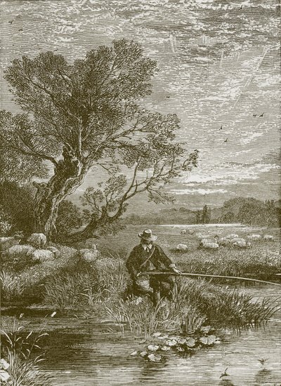 Angler
