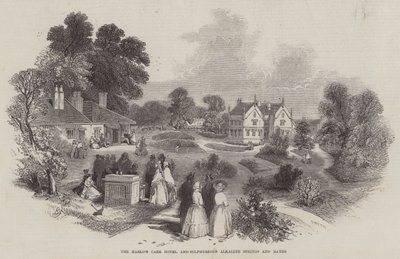Harlow Carr Oteli ve Kükürtlü Alkali Kaplıcalar ve Hamamlar by Myles Birket Foster
