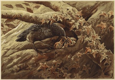 Gürültülü bir çocuk odası (lito) by N. Parker