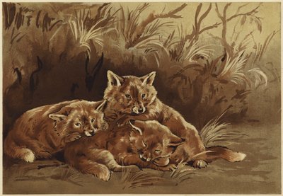 Soyguncuların ini (lito) by N. Parker