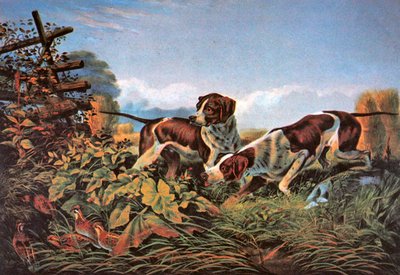 Amerikan Saha Sporları: Bir Noktada by Currier and Ives