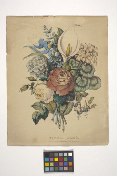 Floral Gems (elle renklendirilmiş litografi) by N. and Ives J.M. (1824 95) Currier