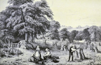 Currier & Ives İllüstrasyon 19. Yüzyıl. Hasat by N. and Ives, J.M. Currier