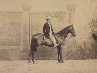 at üstünde adam by Nadar