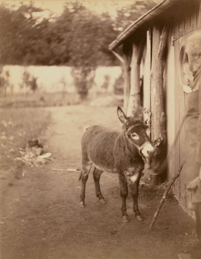  by Nadar [Gaspard Félix Tournachon]