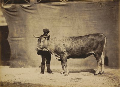  by Nadar Jeune (1825 1903)