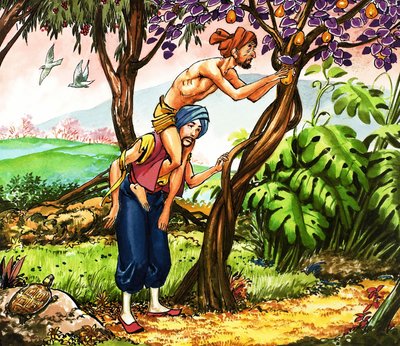 Denizci Sinbad by Nadir Quinto