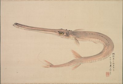 İğne Balığı (Yagara) by Nakajima Raishō