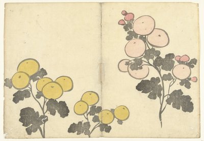 Stilize sarı ve pembe çiçekler Korin'in resim albümü (seri adı) Korin gafu (seri adı) by Nakamura Hochu