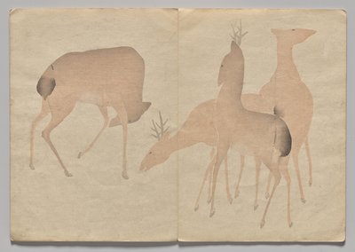 Kōrin Resimli Kitaptan Sahne (Cilt 1) by Nakamura Hochu