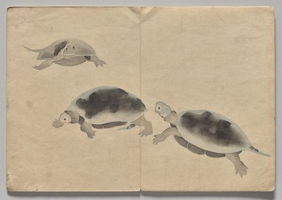 Kōrin Resimli Kitaptan Sahne (Cilt 2) by Nakamura Hochu