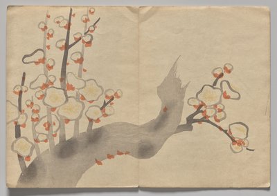 Kōrin Resimli Kitaptan Sahne (Cilt 2) by Nakamura Hochu