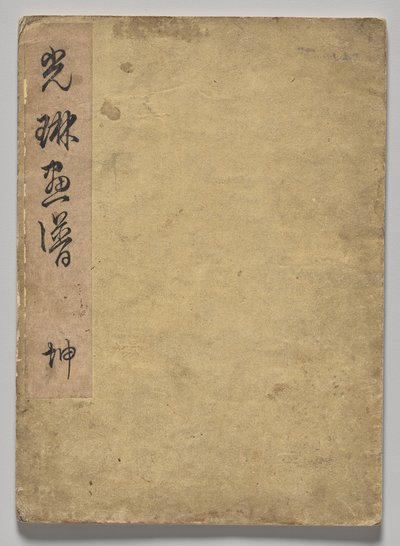 Kōrin Resimli Kitap (Cilt 1) by Nakamura Hochu