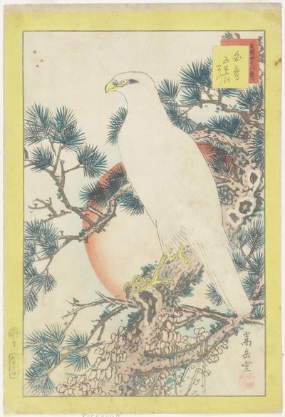 1, Beyaz Şahin ve Beş İğneli Çam, 1859 (renkli tahta baskı) by Nakayama Sugakudo