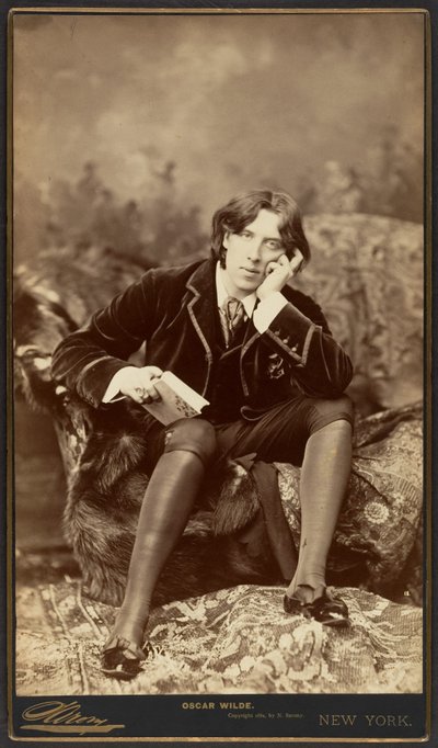 Oscar Wilde, 1882 (albüm gümüş baskı) by Napoleon Sarony