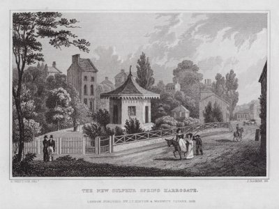 Yeni Kükürt Yayı, Harrogate (gravür) by Nathaniel (after) Whittock