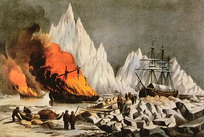 The American Whale Fishery