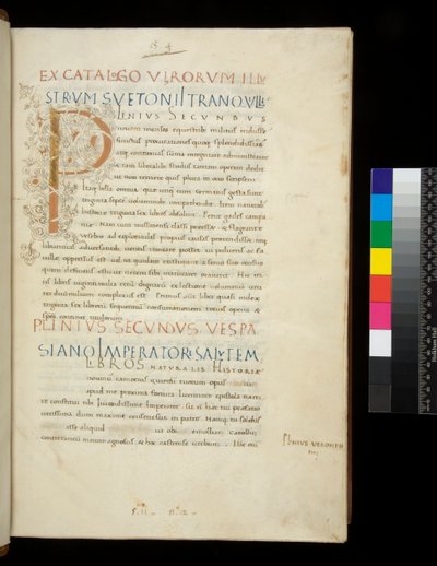 Bayan 394.1. Yaşlı Pliny, Historia naturalis, f.1r. Beyaz asma sapı bezemeli ışıklı ilk [P] (bitmemiş), Napoli, 15. yüzyıl ortası, c.1442 (parşömen) by Neapolitan School