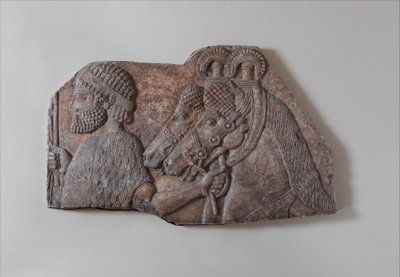 Bir haraç alayı içinde yabancı damat, c.721-05 M.Ö. (alçıtaşı kaymaktaşı) by Neo Assyrian Neo Assyrian
