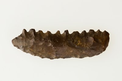 Bifasiyal orak, yaklaşık MÖ 4500–4000 (çakmaktaşı) by Neolithic Neolithic