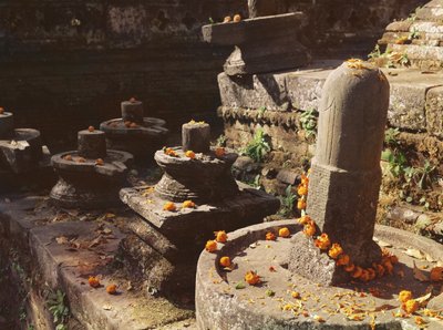 Pashupatinah Tapınağı