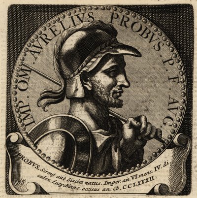 Roma İmparatoru Probus
