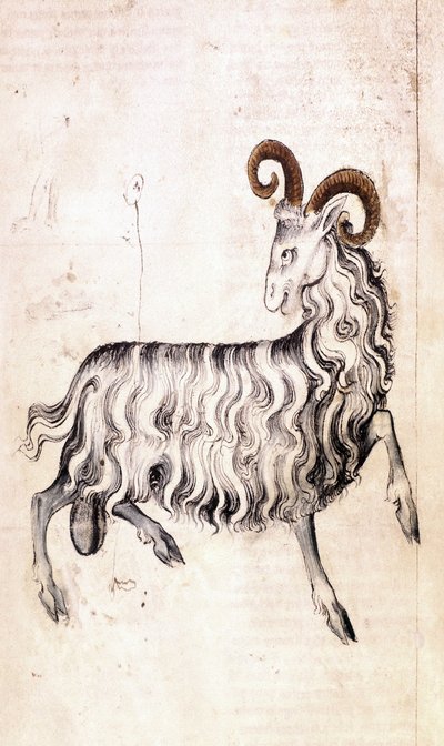 Sloane 3983 f3v Burç Oğlak (parşömen) by Netherlandish School