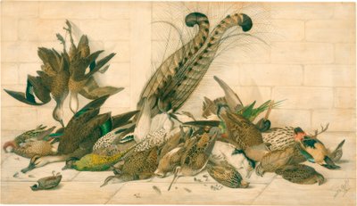 isimsiz (Avustralya gamebirds) by Neville Henry Cayley