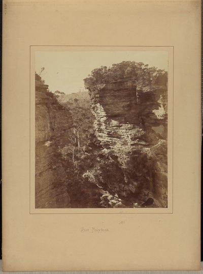  by New South Wales Government Printing Office