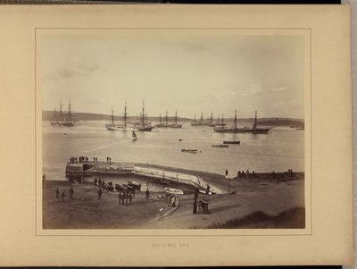  by New South Wales Government Printing Office