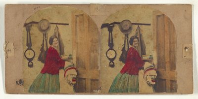  by New York Stereoscopic Company