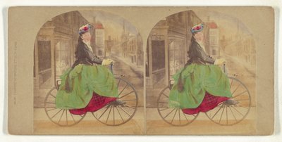  by New York Stereoscopic Company