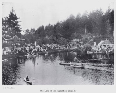 New Plymouth, Yeni Zelanda: The Lake in the Recreation Grounds (s/b fotoğraf) by New Zealand Photographer