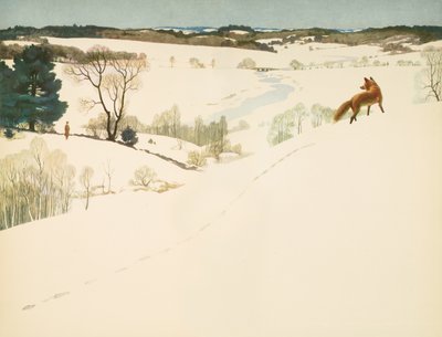 Kardaki Tilki, David Thoreau