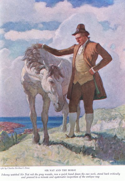 Sir Nat ve at: Johnny, Sir Nat