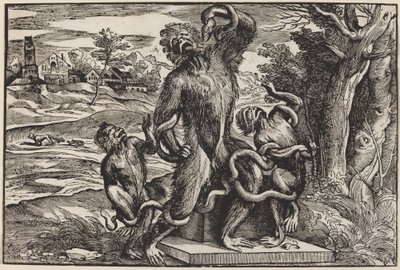 Laocoon Grubunun Karikatürü by Niccolò Boldrini after Titian