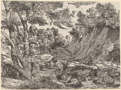Vahşi Doğada Aziz Jerome by Niccolò Boldrini after Titian