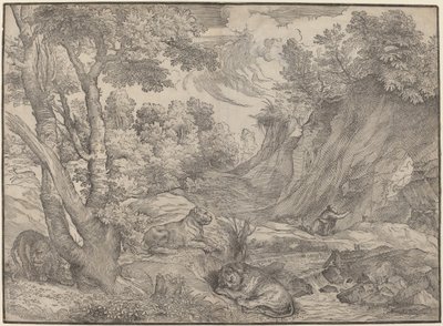 Vahşi Doğada Aziz Jerome by Niccolò Boldrini after Titian