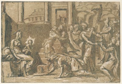 Magi