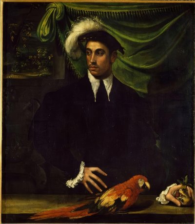 Papağanlı genç bir adamın portresi by Niccolò dell Abbate
