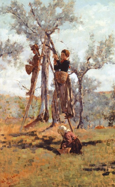 Zeytin hasadı, yaklaşık 1892 (tuval üzerine yağlıboya) by Niccolo Cannicci