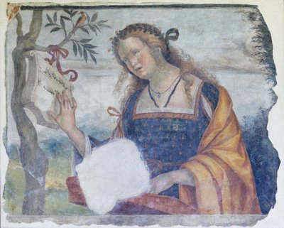  by Niccolo the Younger Giolfino